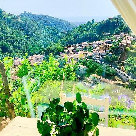 Casa Bacli' - Il Sole Bed & Breakfast Montignoso Dış mekan fotoğraf