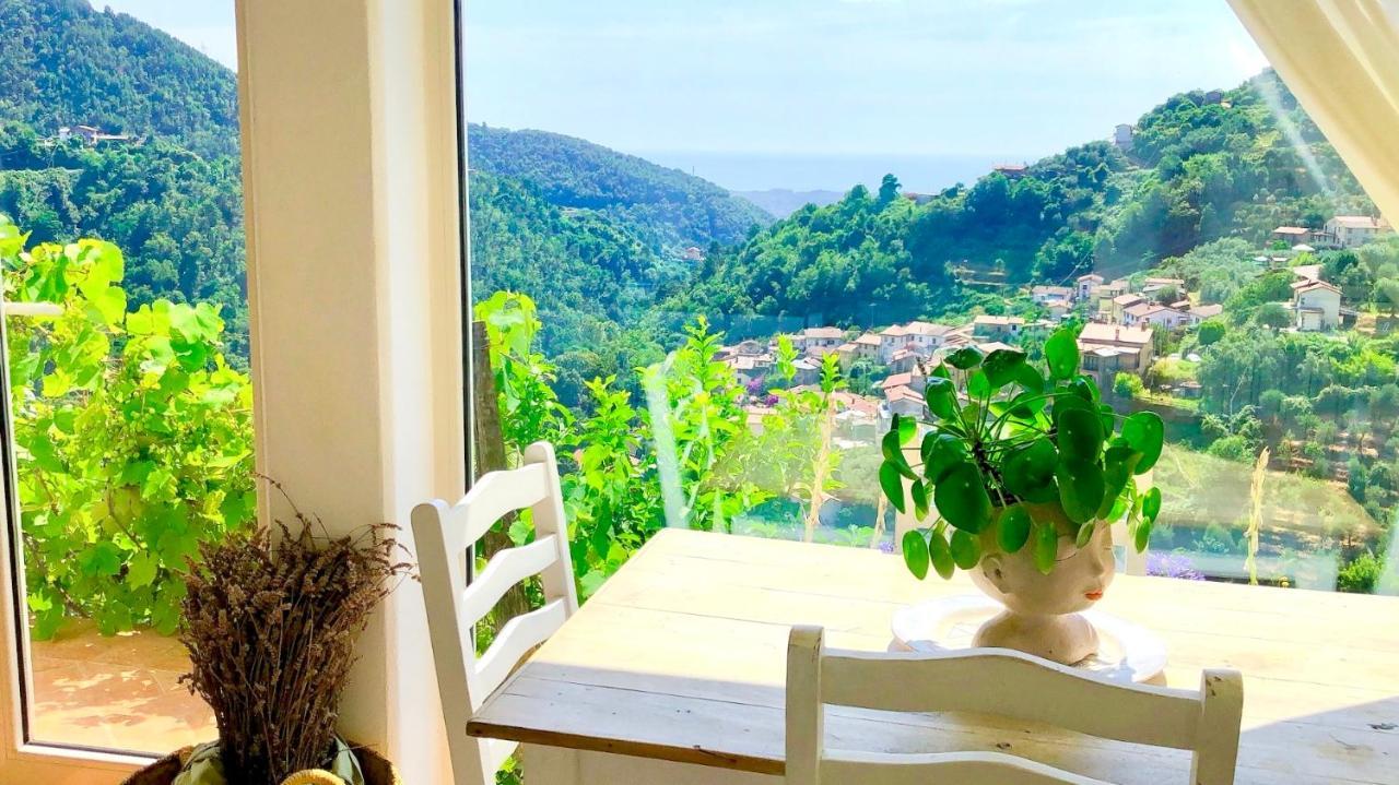 Casa Bacli' - Il Sole Bed & Breakfast Montignoso Dış mekan fotoğraf